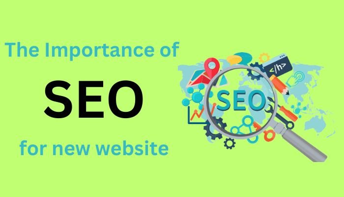 Importance Of SEO For Website
